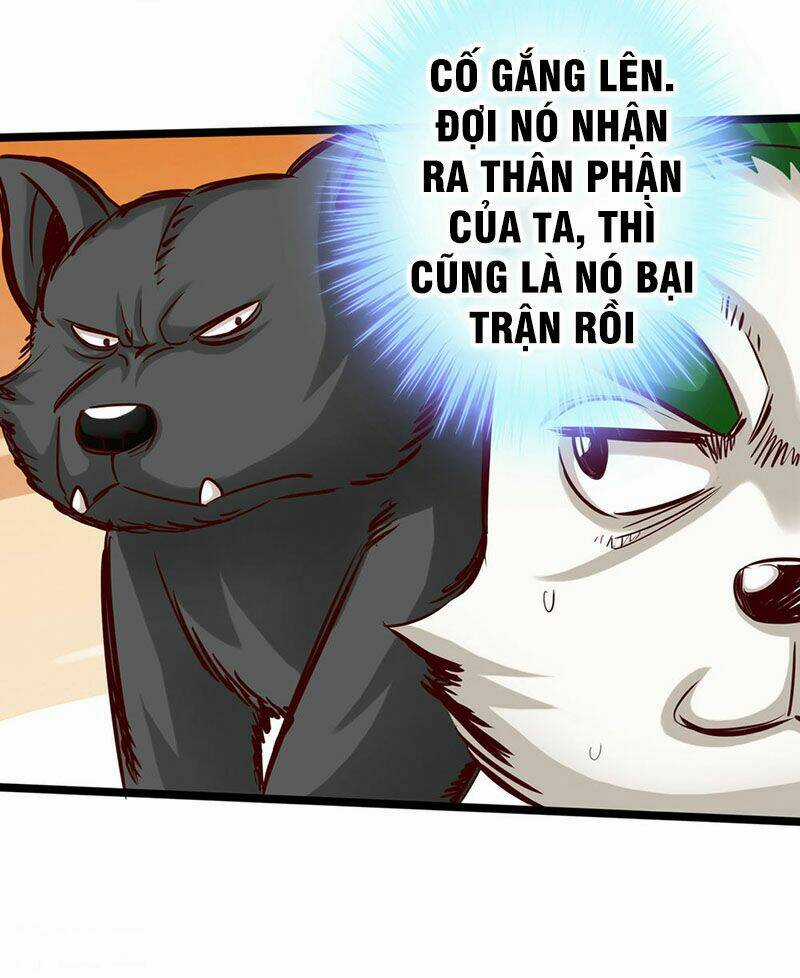 Thông Thiên Chi Lộ - Chapter 14 - Trang 36