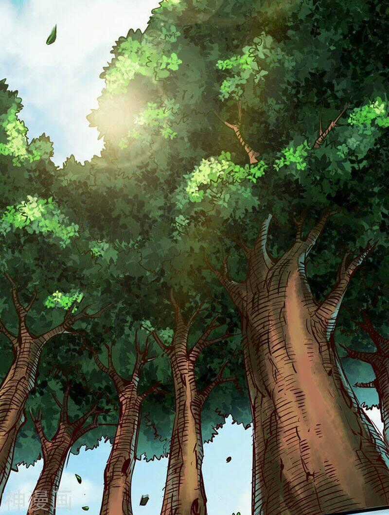 Thông Thiên Chi Lộ - Chapter 28 - Trang 2