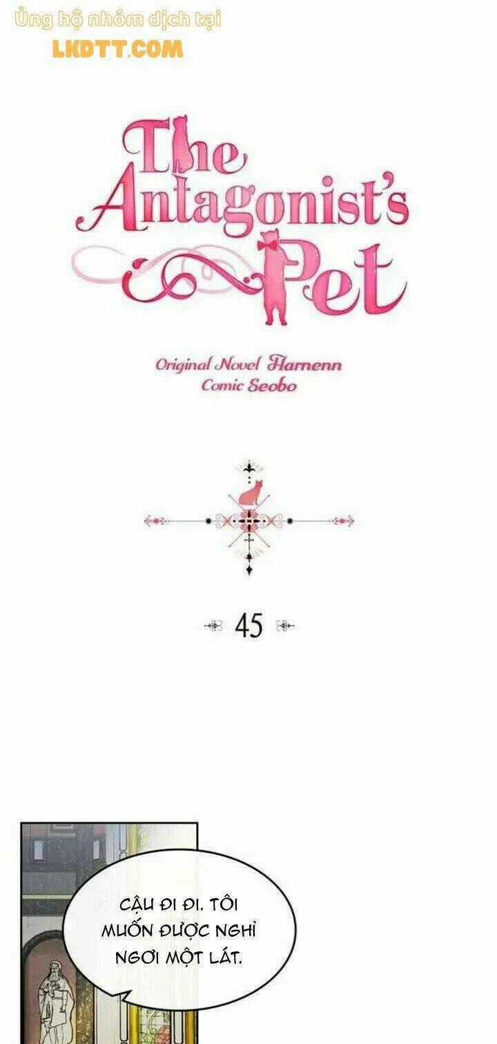 Thú Cưng Của Nữ Phụ Độc Ác - Chapter 45 - Trang 1