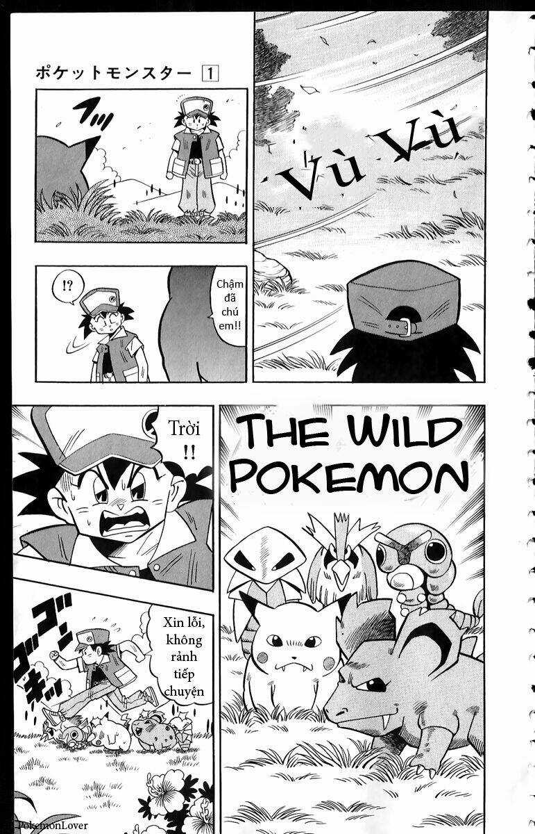 Thú Cưng Đặc Biệt Pippi - Chapter 1 - Trang 7