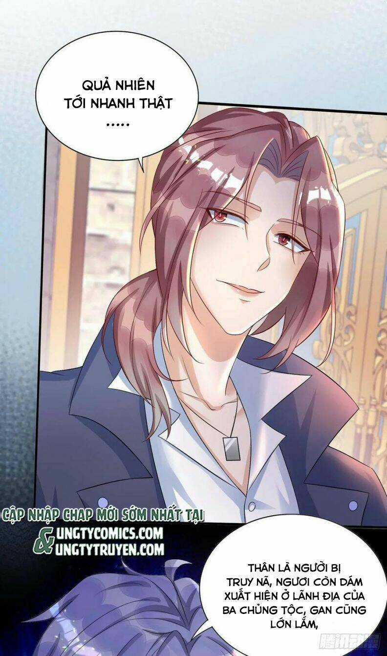 Thú Thụ Bất Thân - Chapter 80 - Trang 5