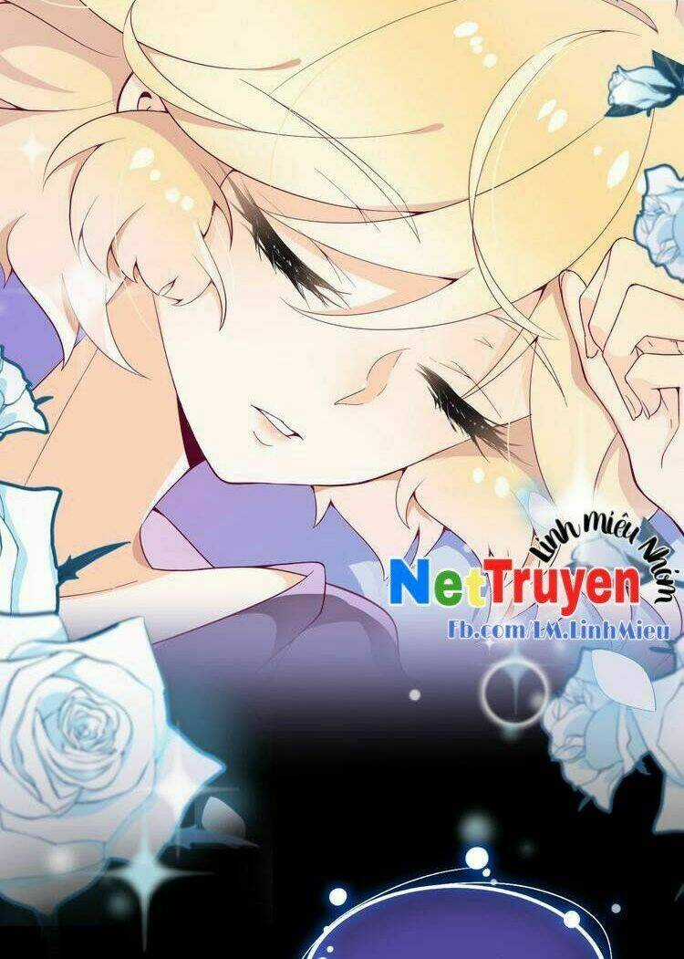 Thuần Bạch Vận Mệnh Chi Luân - Chapter 1 - Trang 5