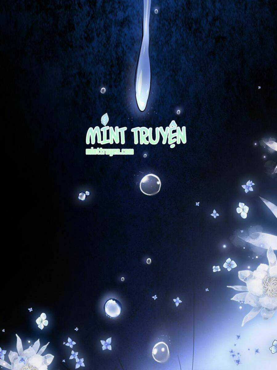 Thuần Tình Lục Thiếu - Chapter 166.1 - Trang 5