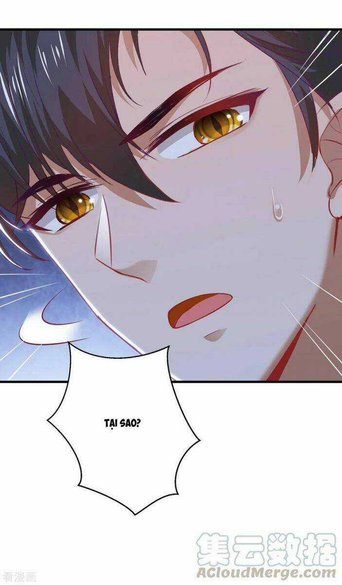 Thuần Tình Lục Thiếu - Chapter 195 - Trang 13