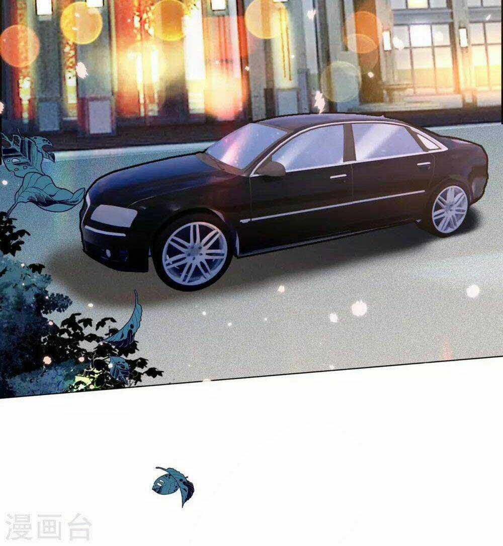 Thuần Tình Lục Thiếu - Chapter 203 - Trang 5