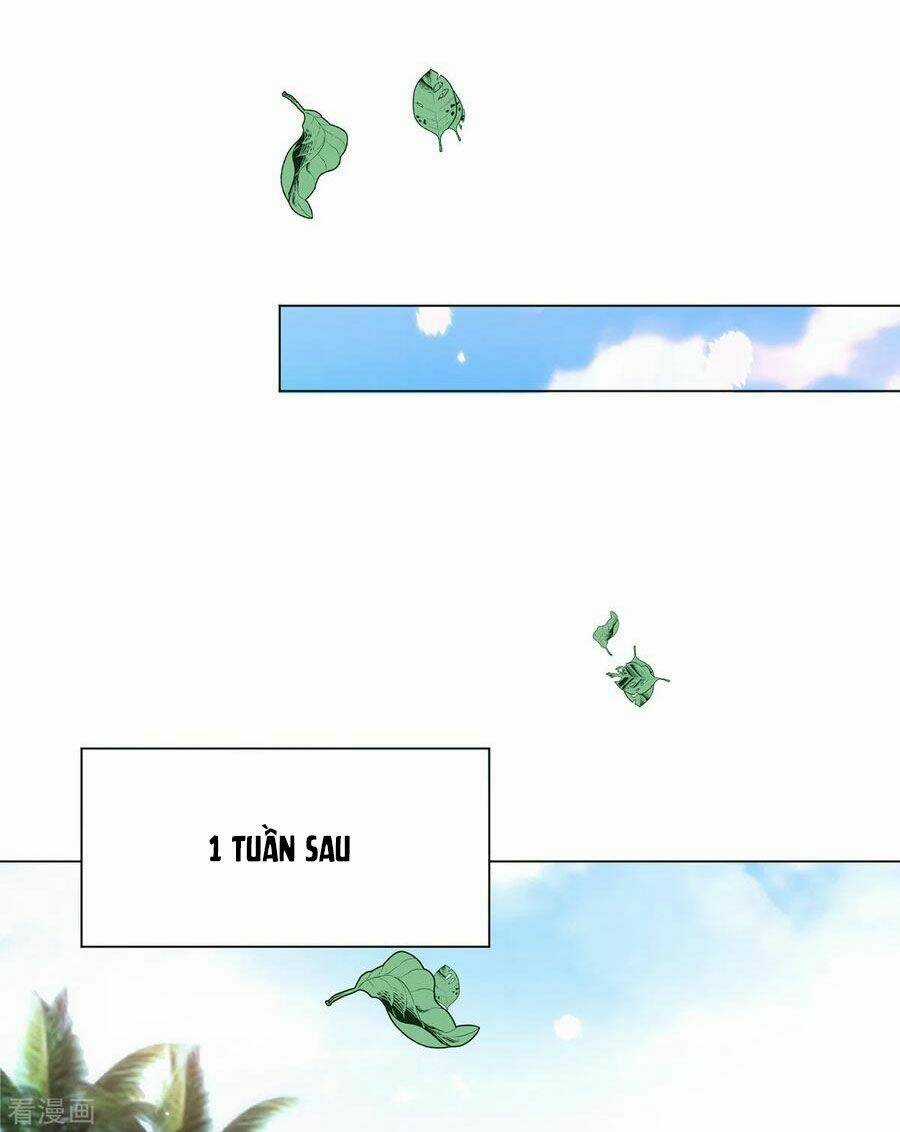 Thuần Tình Lục Thiếu - Chapter 219 - Trang 13