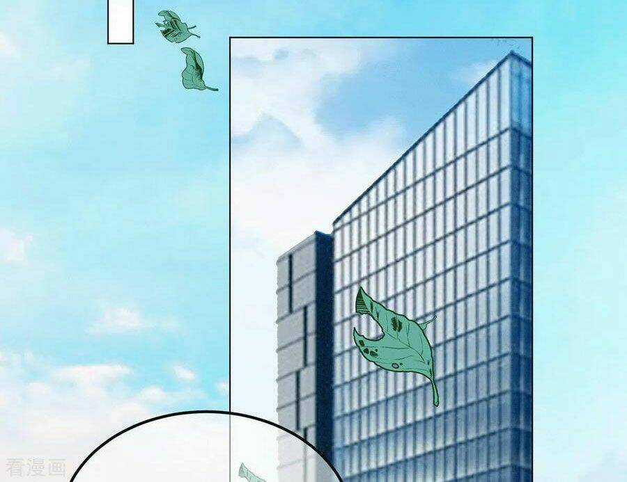 Thuần Tình Lục Thiếu - Chapter 222 - Trang 24