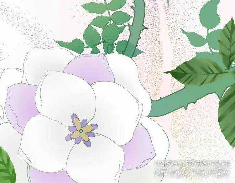 Thuần Trắng Vận Mệnh Chi Luân - Chapter 4 - Trang 81