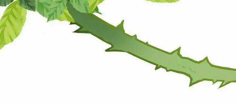 Thuần Trắng Vận Mệnh Chi Luân - Chapter 4 - Trang 85