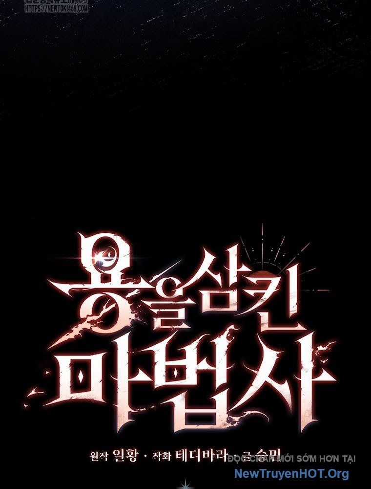 Thực Long Ma Pháp Sư - Chương 105 - Trang 29