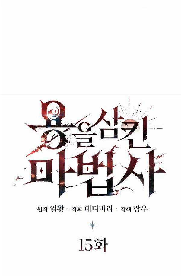 Thực Long Ma Pháp Sư - Chương 15 - Trang 17