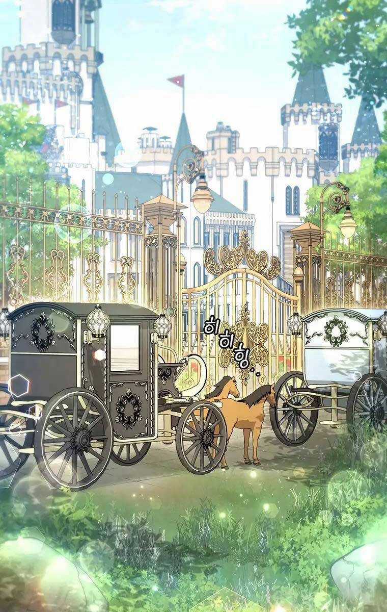 Thực Long Ma Pháp Sư - Chương 16 - Trang 5