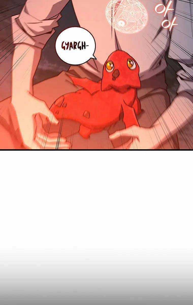 Thực Long Ma Pháp Sư - Chương 19 - Trang 48