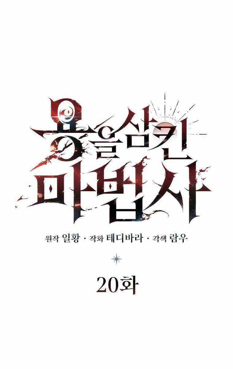 Thực Long Ma Pháp Sư - Chương 20 - Trang 17