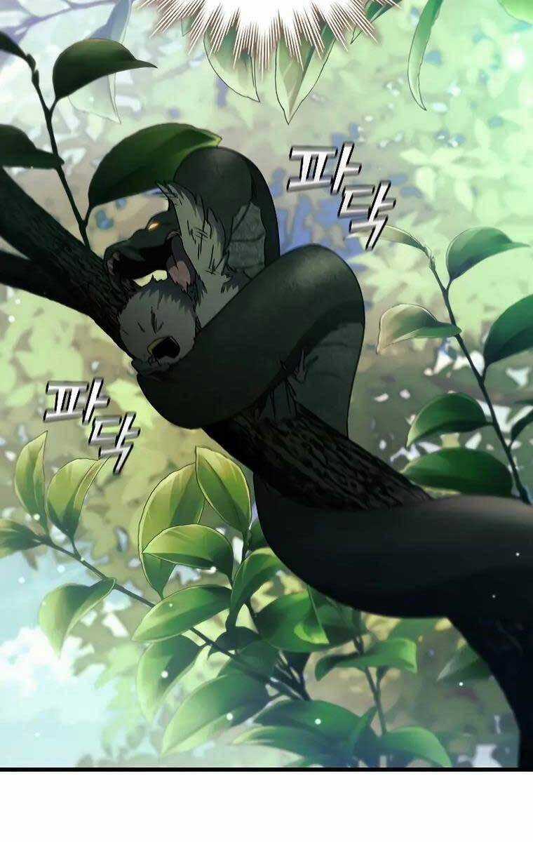 Thực Long Ma Pháp Sư - Chương 20 - Trang 50