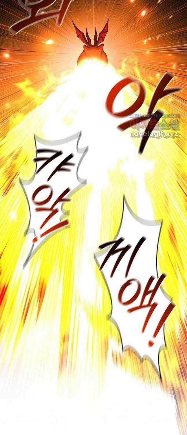 Thực Long Ma Pháp Sư - Chương 61 - Trang 70