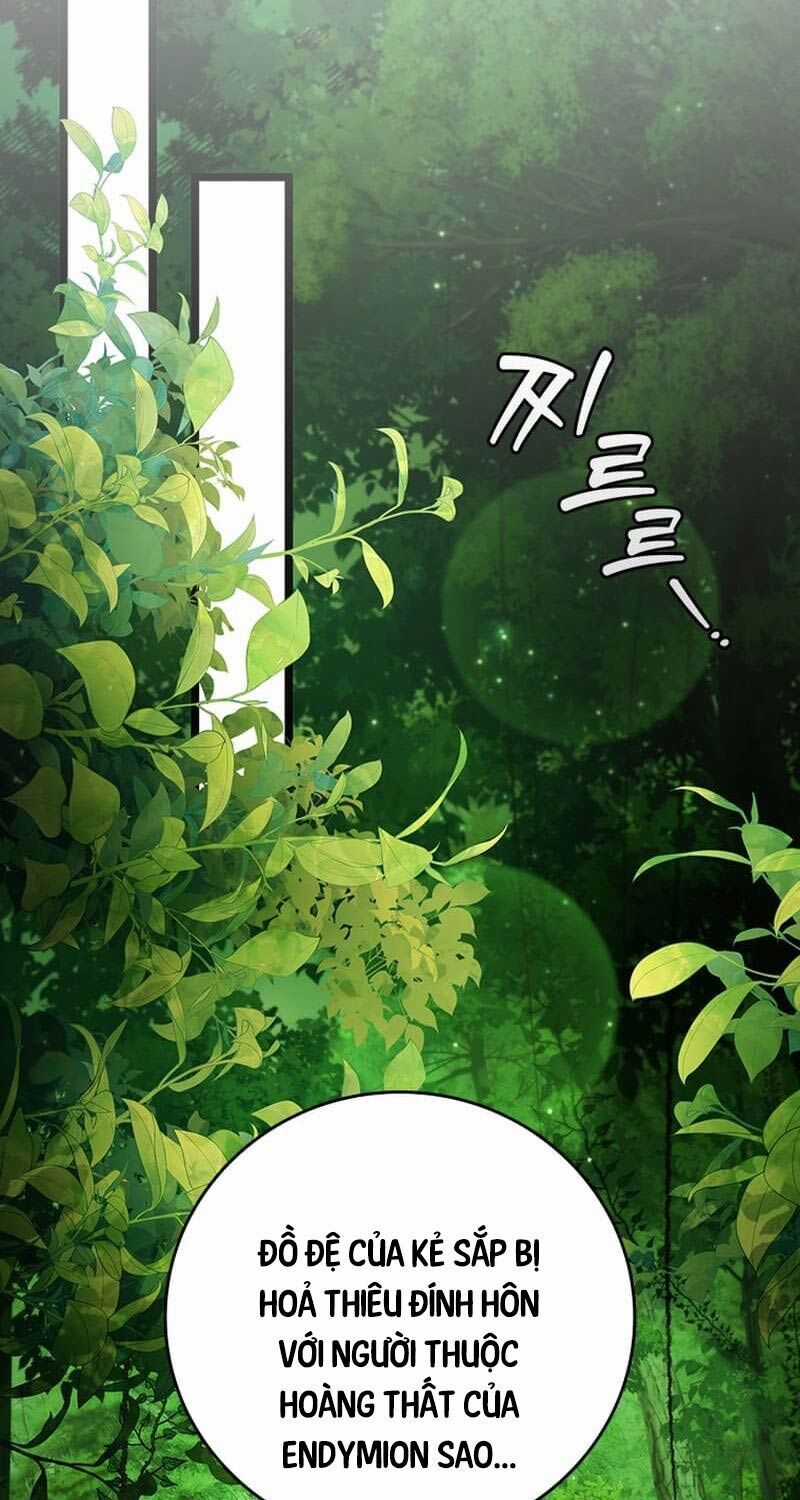 Thực Long Ma Pháp Sư - Chương 66 - Trang 81