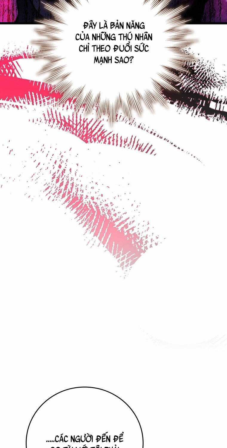 Thực Long Ma Pháp Sư - Chương 69 - Trang 42