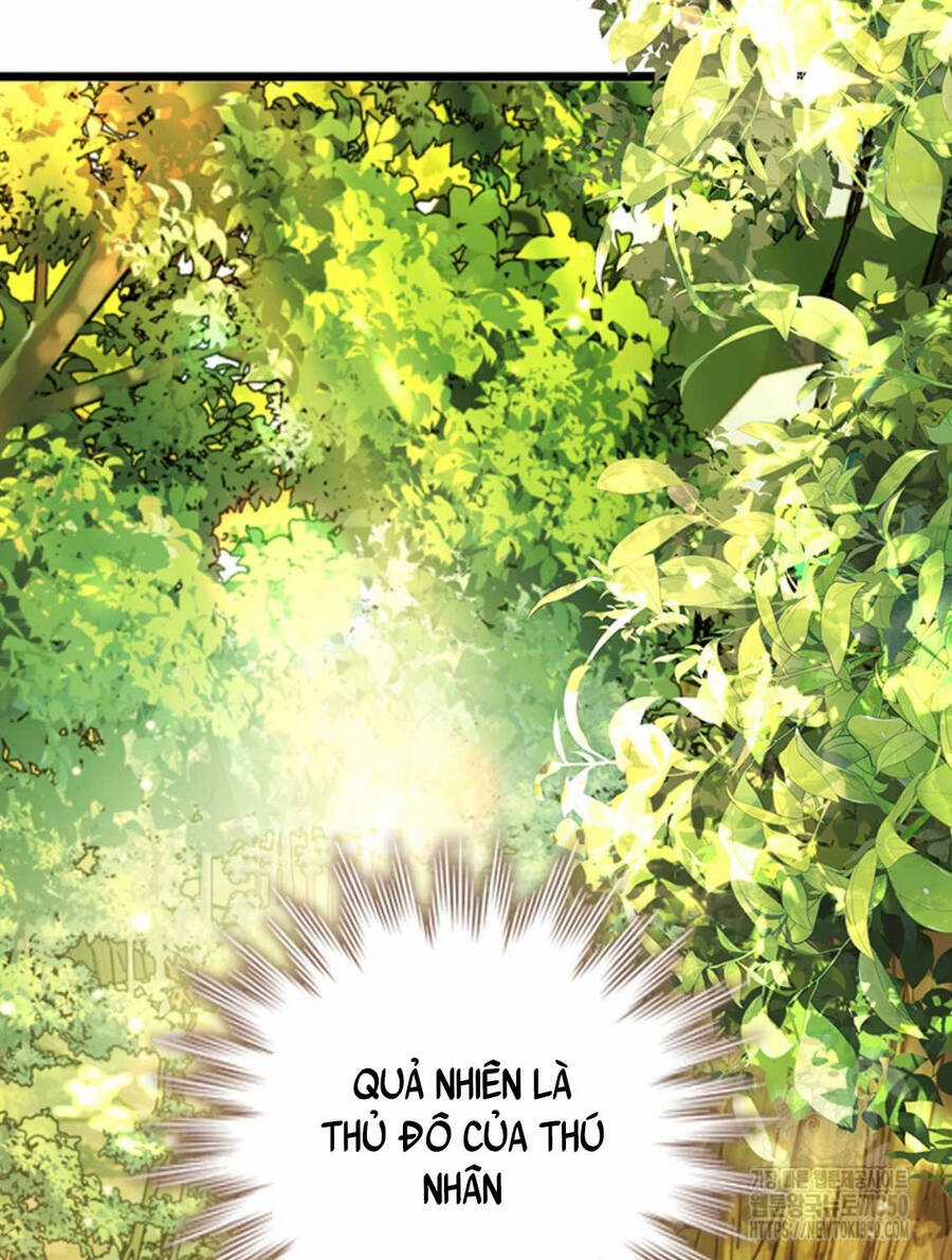 Thực Long Ma Pháp Sư - Chương 70 - Trang 52