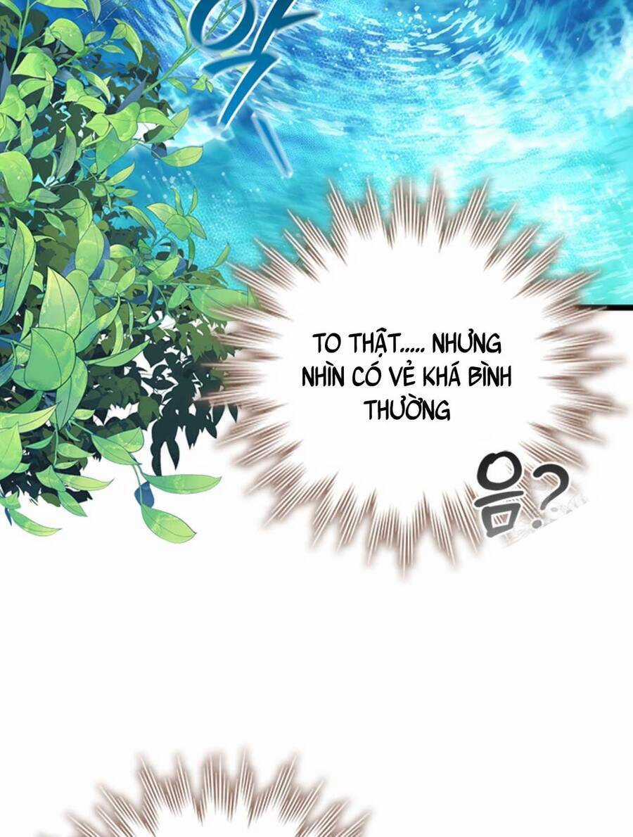 Thực Long Ma Pháp Sư - Chương 72 - Trang 61