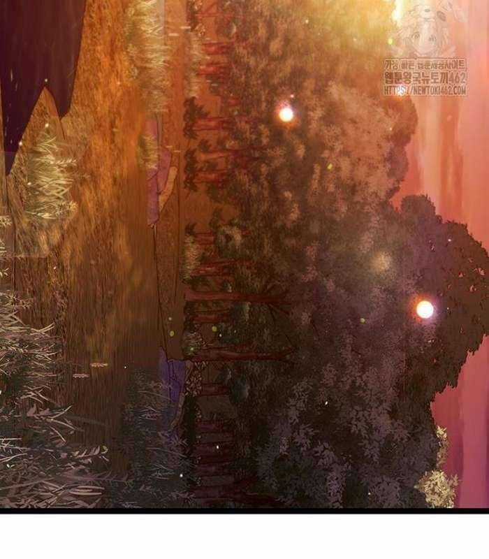 Thực Long Ma Pháp Sư - Chương 75 - Trang 167