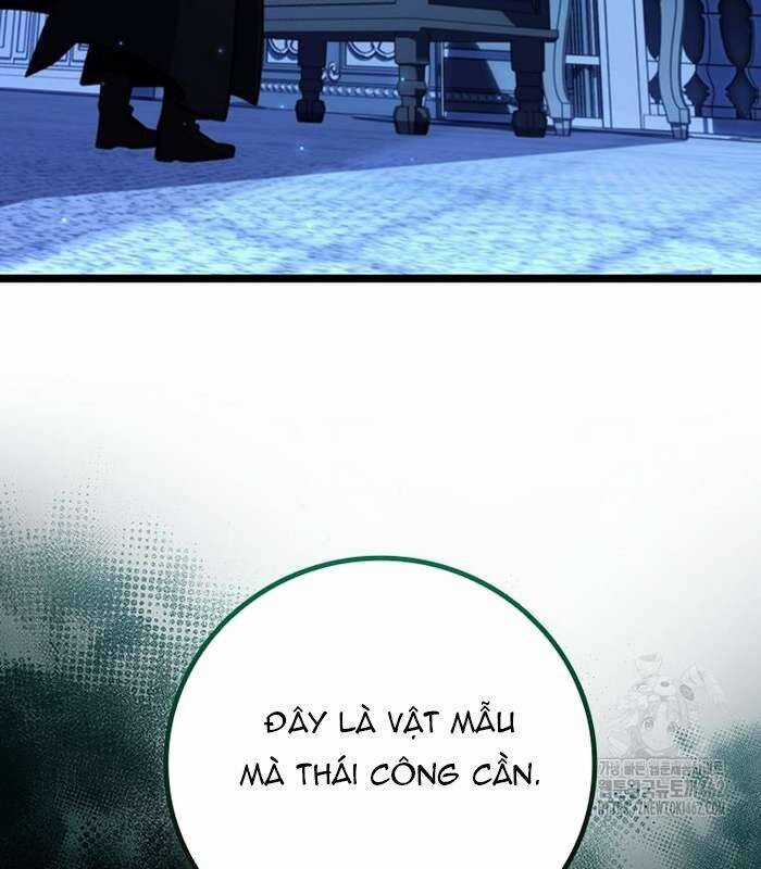 Thực Long Ma Pháp Sư - Chương 76 - Trang 178