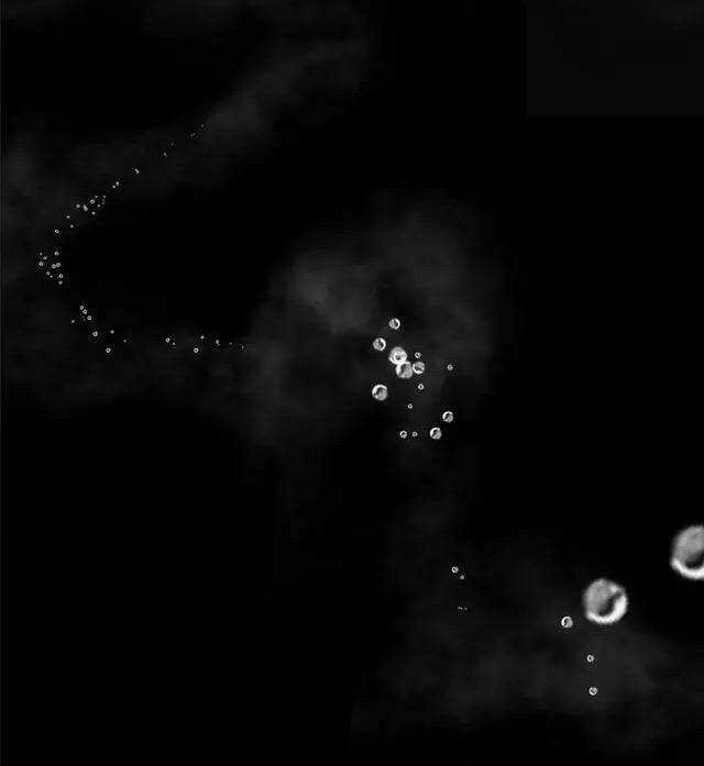 Thực Nhị - Chapter 12.1 - Trang 29