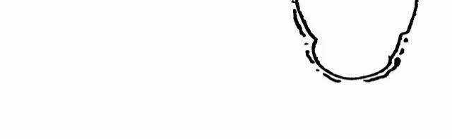 Thực Nhị - Chapter 12.2 - Trang 17