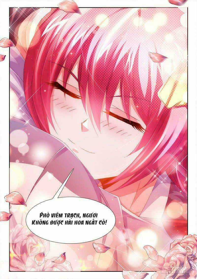 Thực Sắc Đại Lục - Chapter 149 - Trang 13