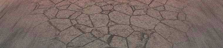 Thực Thư Pháp Sư - Chương 44 - Trang 218