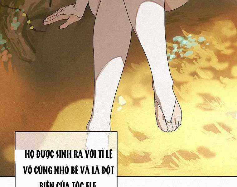 Thực Thư Pháp Sư - Chương 53 - Trang 73