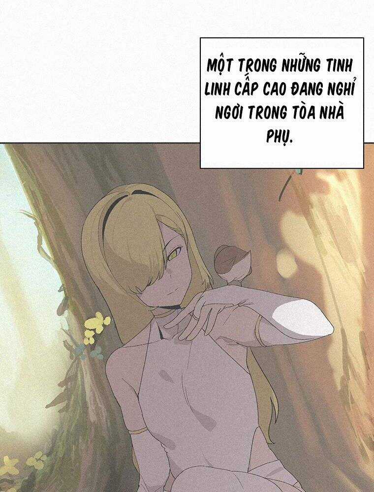 Thực Thư Pháp Sư - Chương 54 - Trang 11