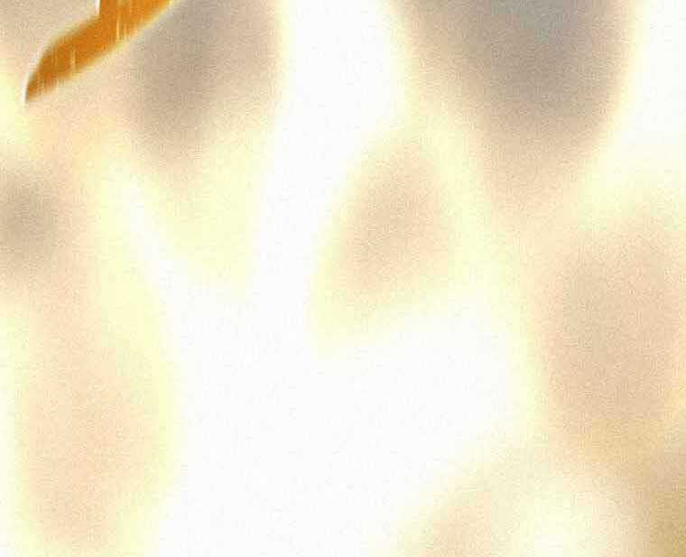 Thực Thư Pháp Sư - Chương 62 - Trang 12