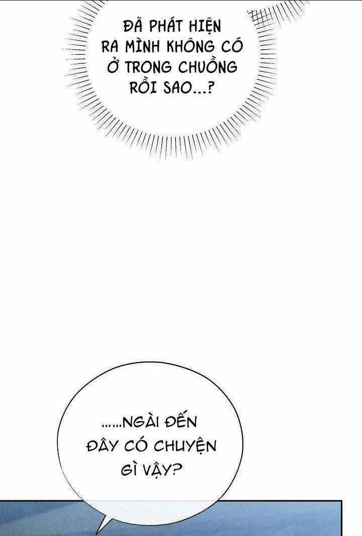 Thuốc Độc - Chapter 12 - Trang 55