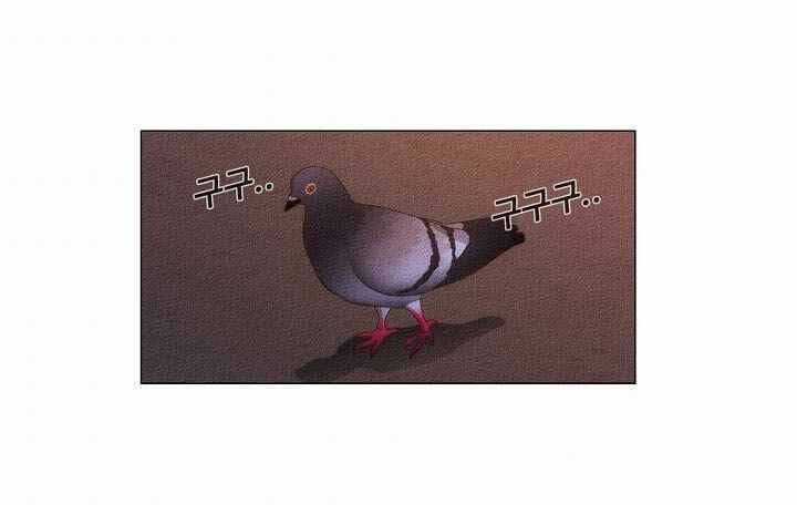 Thước Phim Sự Thật - Chapter 19 - Trang 72