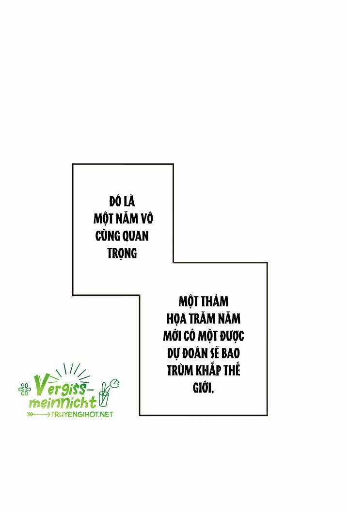 Thủy Tổ Pháp Sư - Chapter 1 - Trang 14