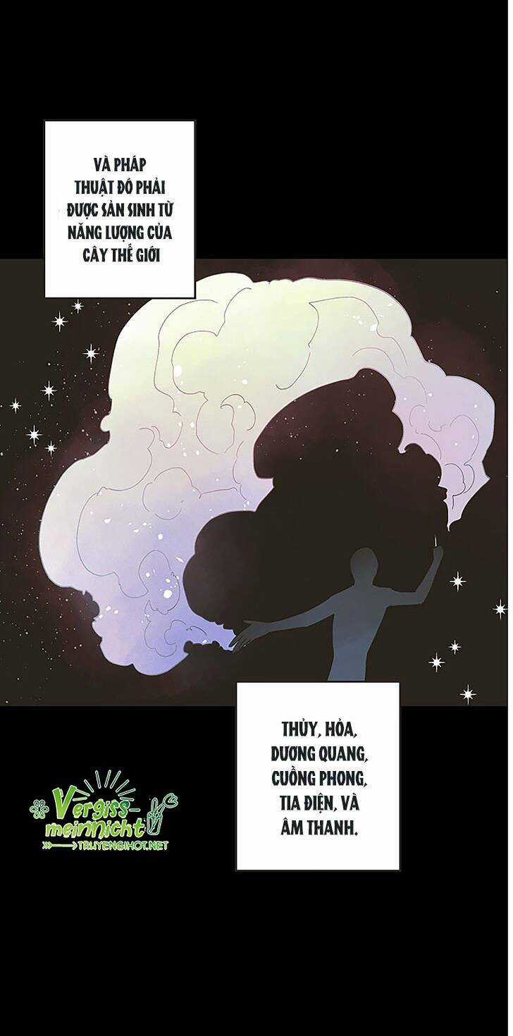 Thủy Tổ Pháp Sư - Chapter 4 - Trang 5