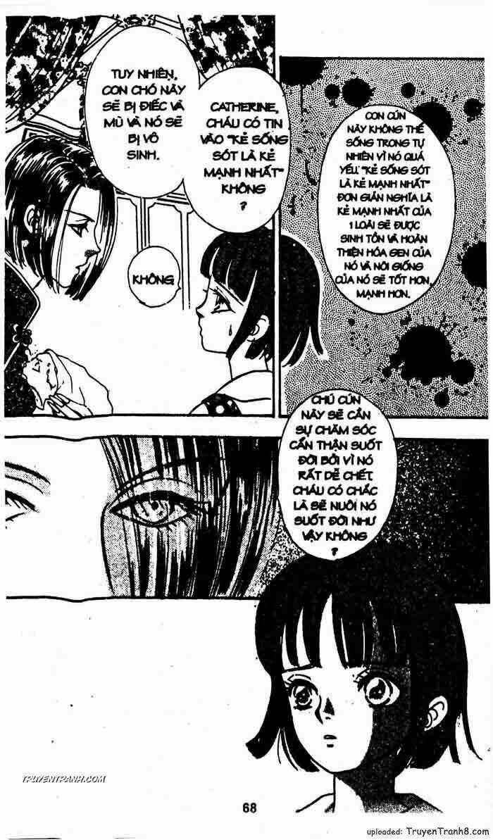 Tiệm Thú Kiểng - Chapter 25 - Trang 15