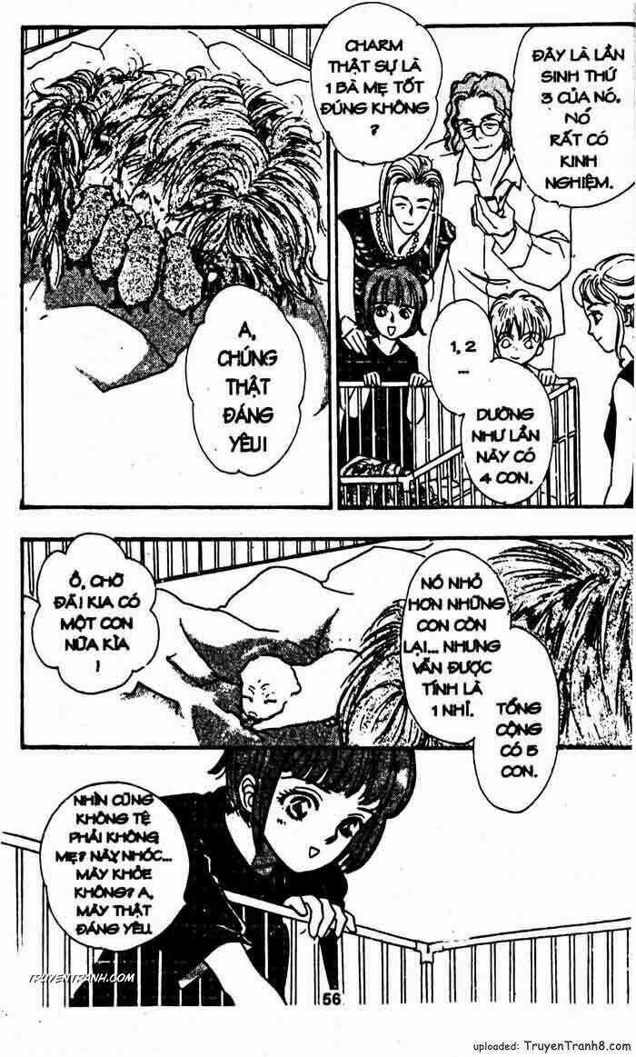 Tiệm Thú Kiểng - Chapter 25 - Trang 4