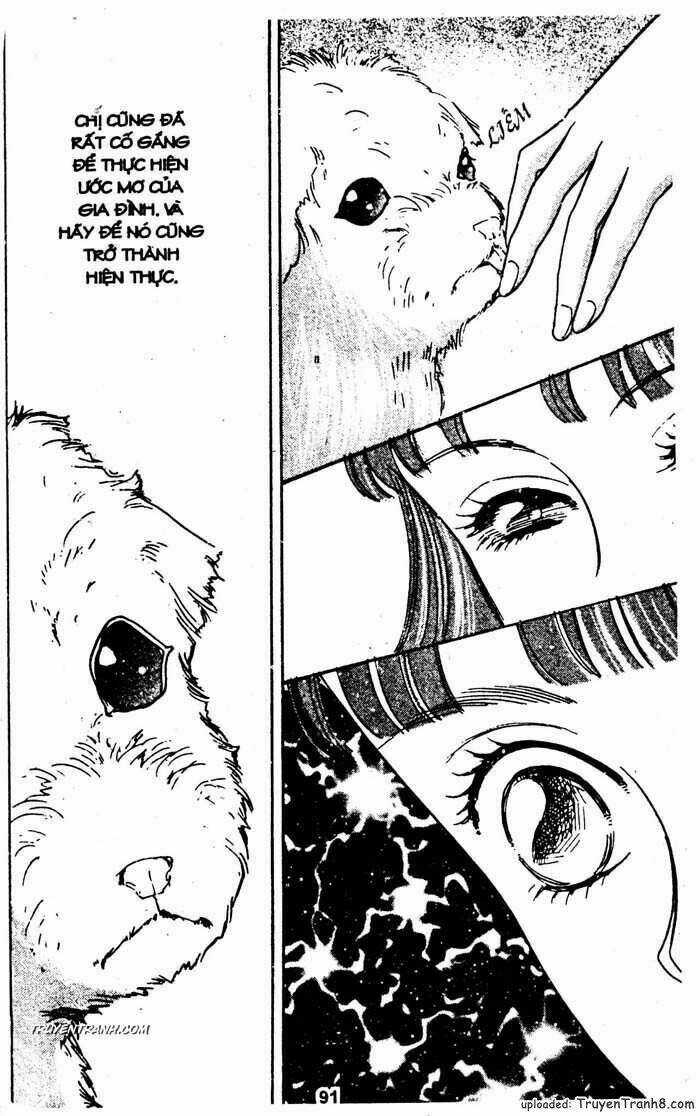 Tiệm Thú Kiểng - Chapter 25 - Trang 38