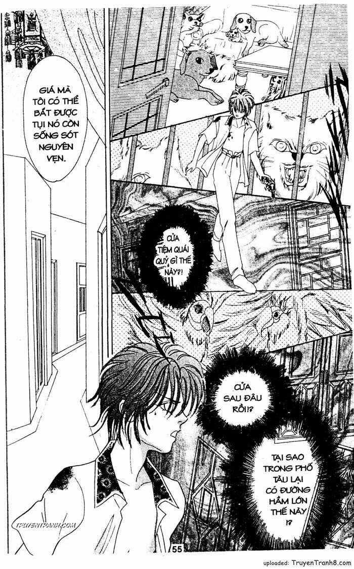 Tiệm Thú Kiểng - Chapter 27 - Trang 31