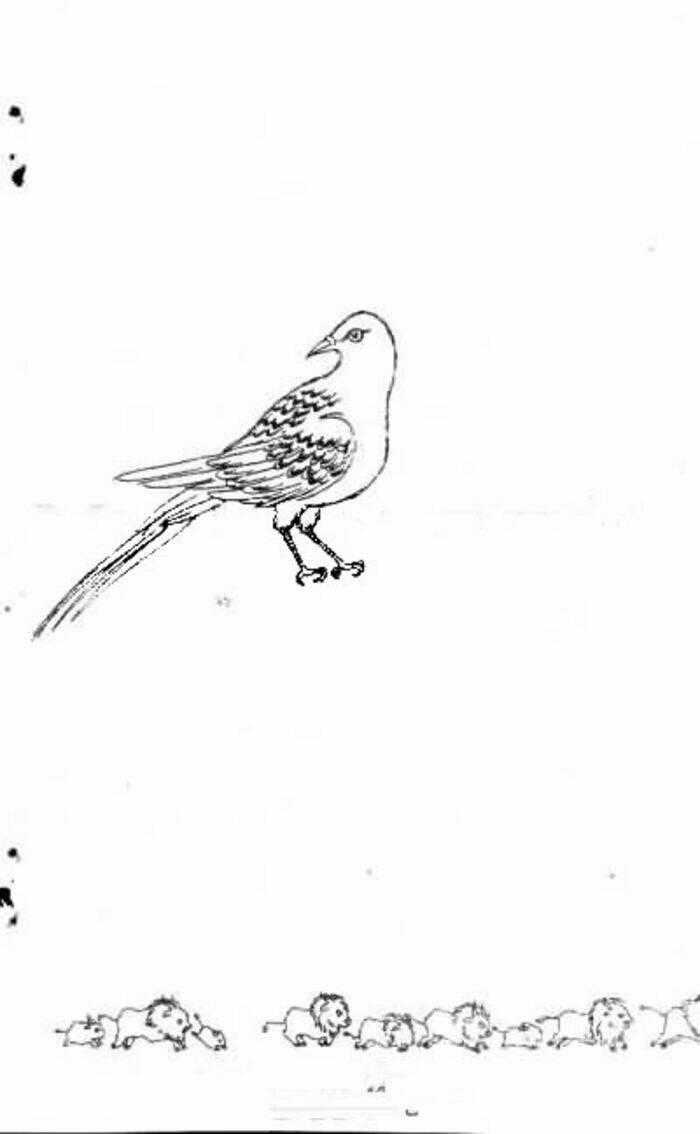 Tiệm Thú Kiểng - Chapter 38 - Trang 51