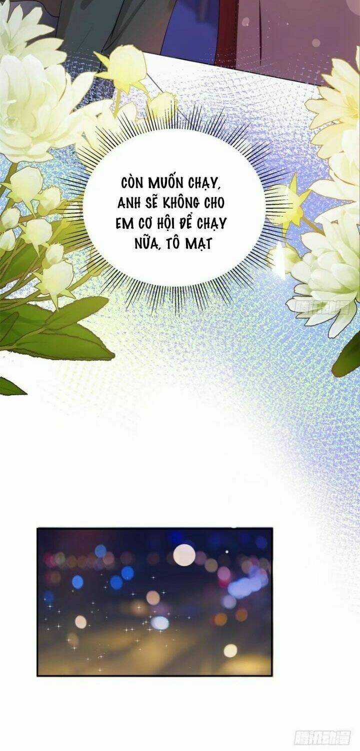 Tiên Hôn Đoạt Ái - Chapter 1 - Trang 19