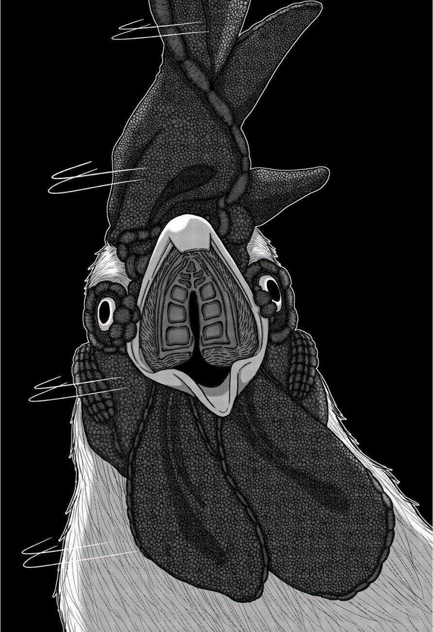 Tiếng Gáy Sát Thủ - Chapter 1 - Trang 38