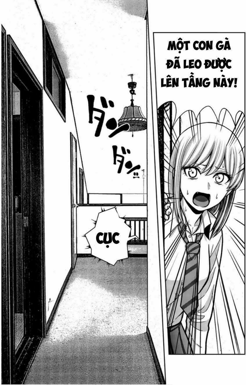 Tiếng Gáy Sát Thủ - Chapter 12 - Trang 15