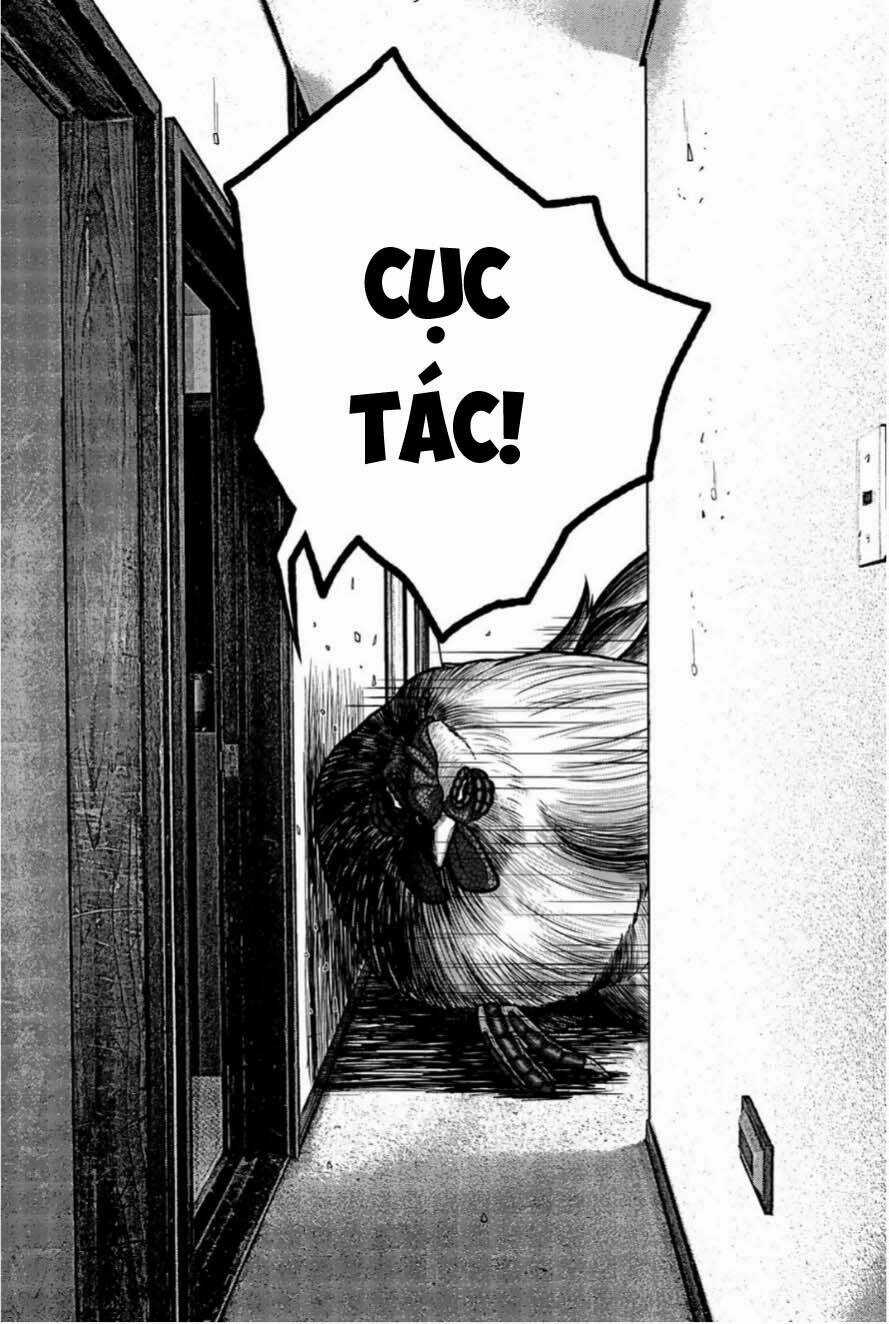 Tiếng Gáy Sát Thủ - Chapter 12 - Trang 16