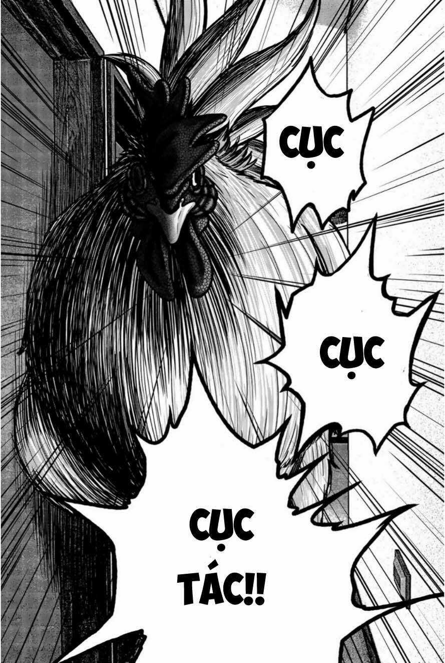 Tiếng Gáy Sát Thủ - Chapter 12 - Trang 17