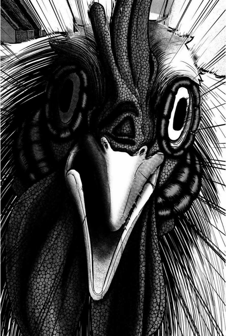 Tiếng Gáy Sát Thủ - Chapter 12 - Trang 18