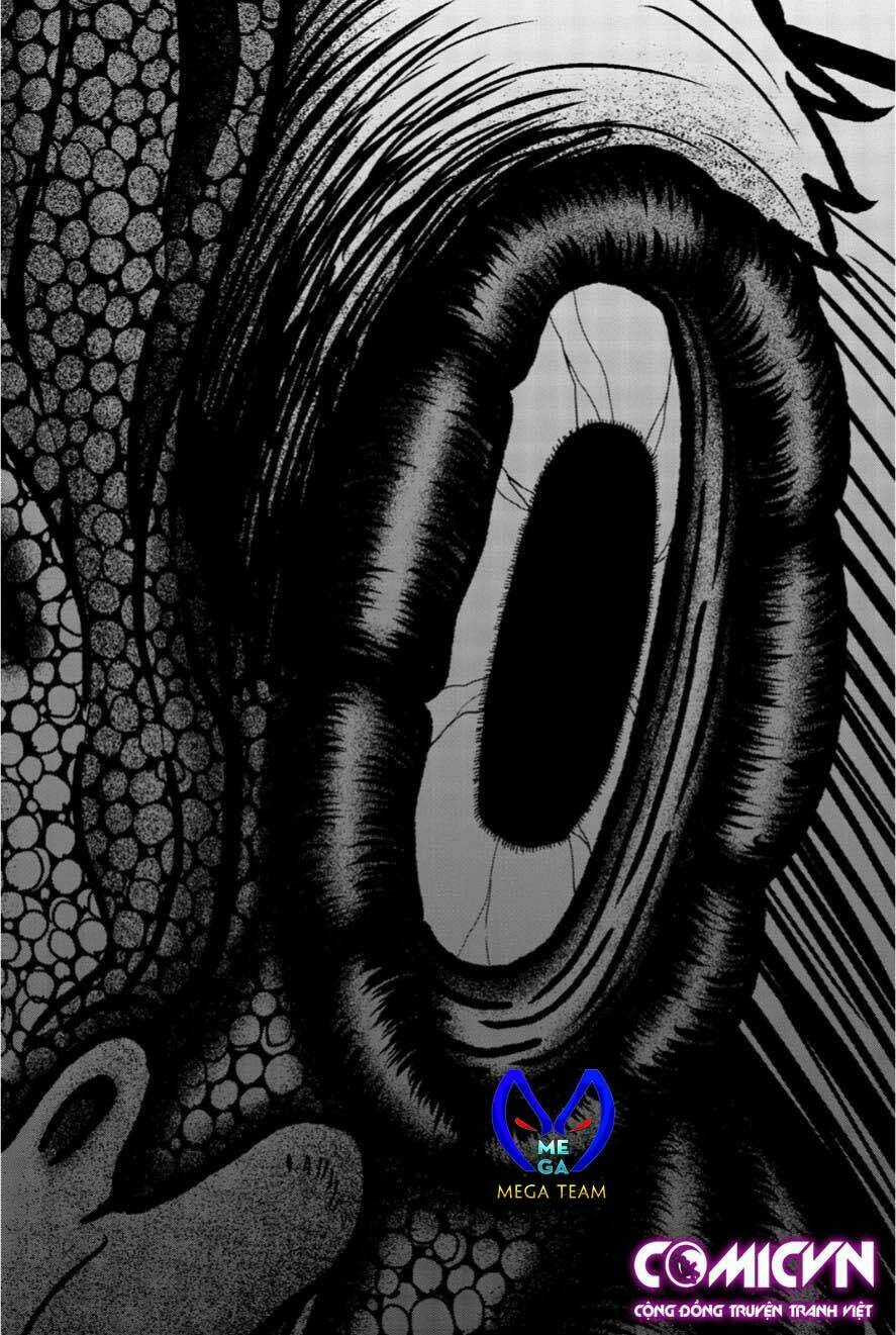 Tiếng Gáy Sát Thủ - Chapter 12 - Trang 19