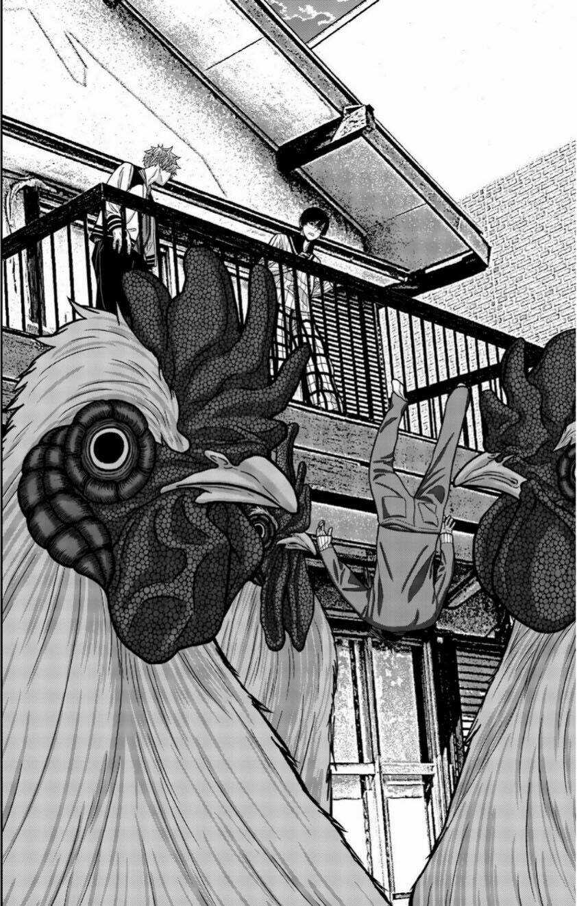 Tiếng Gáy Sát Thủ - Chapter 13 - Trang 14